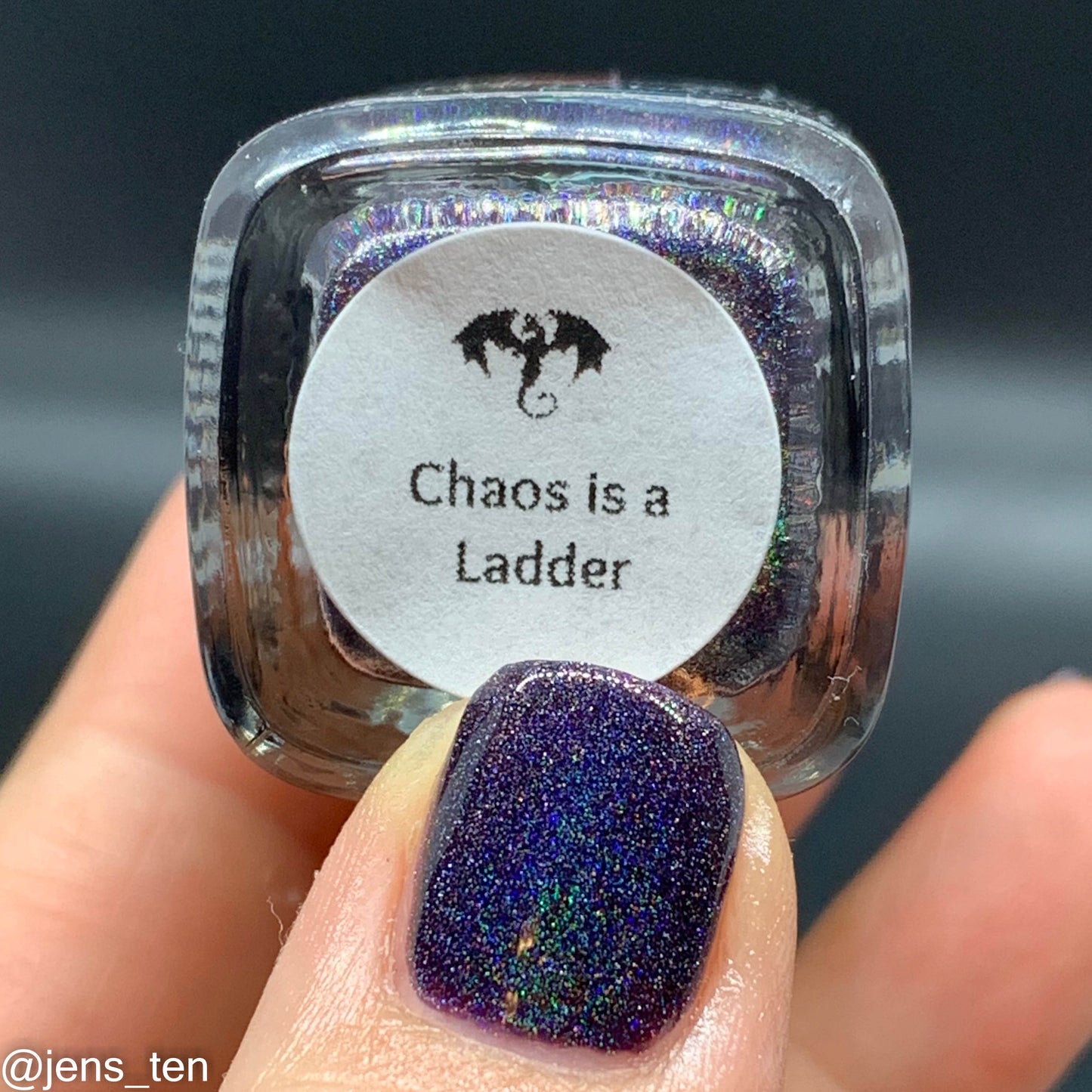 Chaos is a Ladder - eggplant / dark purple linear holographic