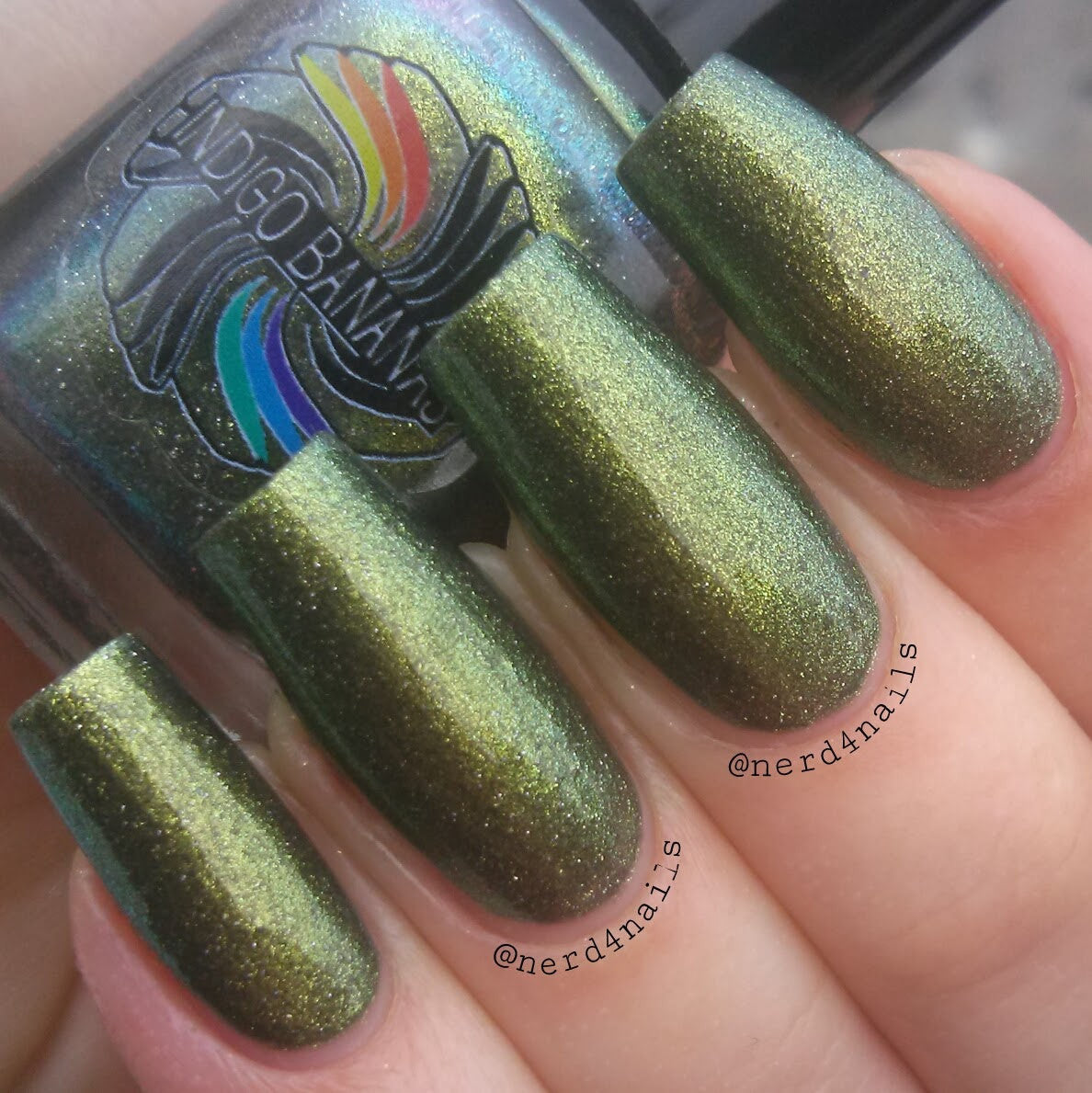 Pan - olive/green multichrome
